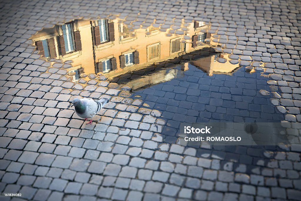 Roman de adoquines con charco reflexión y pigeon, Roma, Italia - Foto de stock de Calle libre de derechos