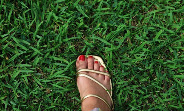 istock A woman's foot in sandals on the grass 1618341580