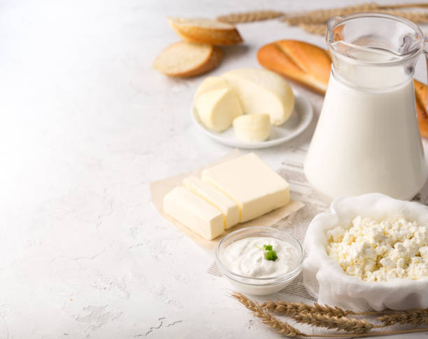 Dairy products frame on light gray background. Flat lay with cheese, milk, cottage cheese and yogurt on light table top, copy space. Dairy products frame on light gray background. Flat lay with cheese, milk, cottage cheese and yogurt on light table top, copy space. High quality photo lactose fermentation stock pictures, royalty-free photos & images