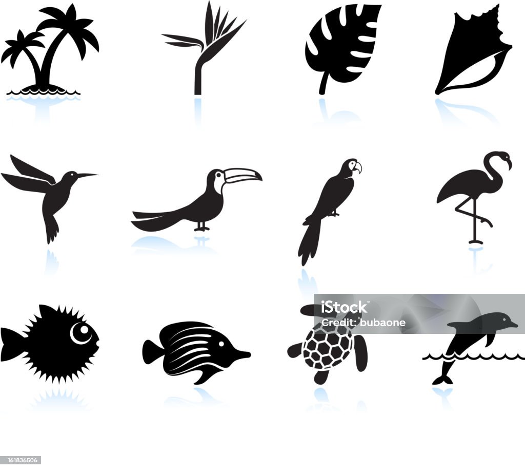 Plantes tropicales poissons et oiseaux black & Ensemble d'icônes blanc - clipart vectoriel de Icône libre de droits