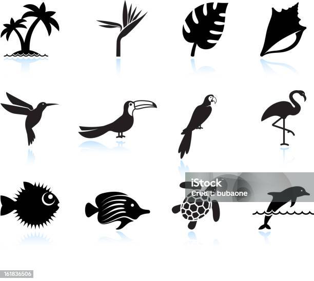 Plantes Tropicales Poissons Et Oiseaux Black Ensemble Dicônes Blanc Vecteurs libres de droits et plus d'images vectorielles de Icône