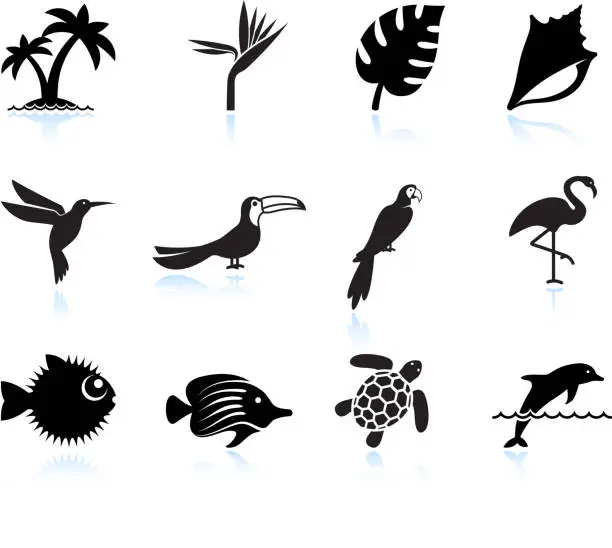 Vector illustration of tropical plants fish and birds black & white icon set