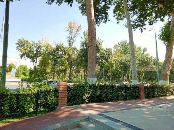 istock Tashkent street 1618365828