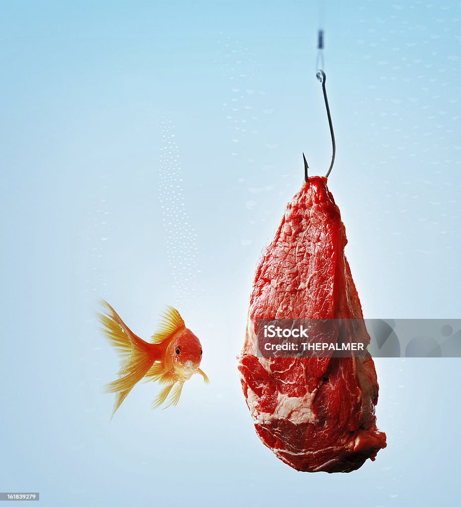 Carpa dorada carnívora - Foto de stock de Anzuelo de pesca libre de derechos