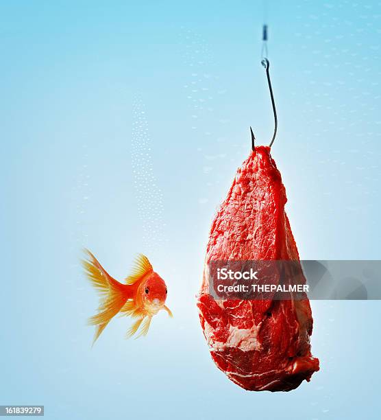 金魚人 - 釣り針のストックフォトや画像を多数ご用意 - 釣り針, 釣り餌, 魚