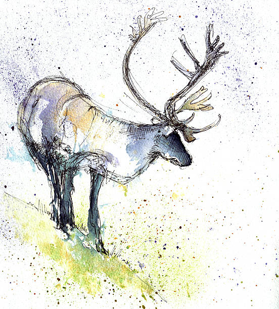 bildbanksillustrationer, clip art samt tecknat material och ikoner med raindeer - reindeer mist