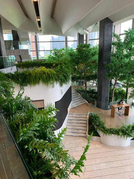 istock Garden in the building 1618401113