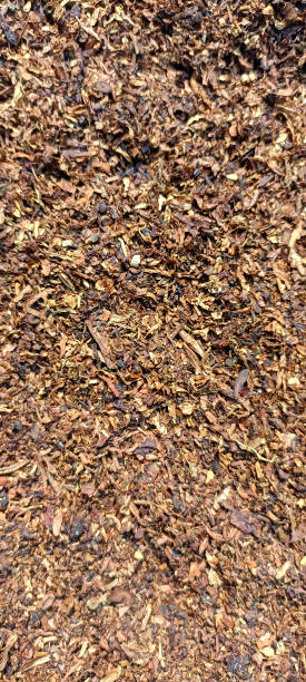 istock Tobacco being dried in the sun 1618405518