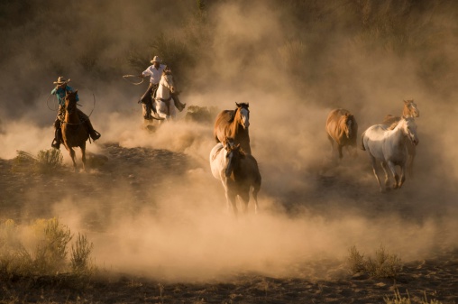 Sunrise horse drive through the dusty high desert with five horses being chased by two vaqueros.Low side lighting for drama and long shadows with elements of the Old West. Horizontal format.http://www.garyalvis.com/images/wildWest.jpg