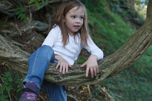Happy child on countryside. Climbing trees kid. Little girl climbing high tree