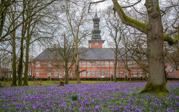 Husum, Germany - March 10, 2023: Husum Castle during springtime within field of crocuses on March 10, 2023 in Husum, North Frisia, Germany