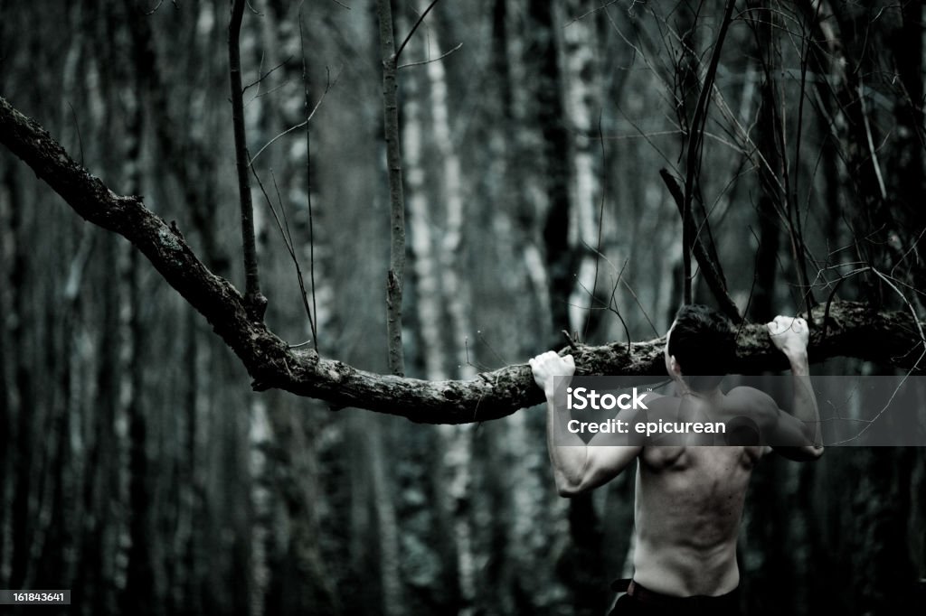 Primal academia de ginástica - Foto de stock de Bosque - Floresta royalty-free