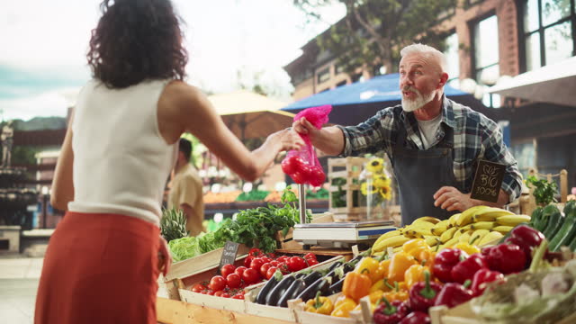 Multiethnic Female Customer Buying Sustainable Natural Tomatoes From a Joyful Senior Farmer on a Sunny Summer Day. Successful Street Vendors Managing a Small Business Farm Stall at an Outdoors Market
