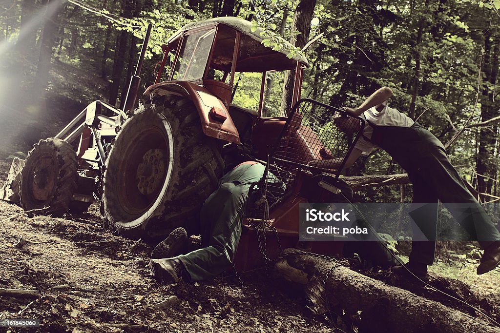 lumbejacks Trabalhador na indústria de registo - Royalty-free Floresta Foto de stock