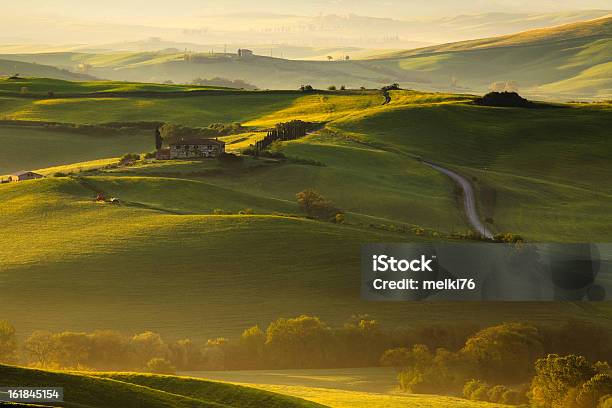 Toscana Paesaggio - Fotografie stock e altre immagini di Agricoltura - Agricoltura, Alba - Crepuscolo, Albero