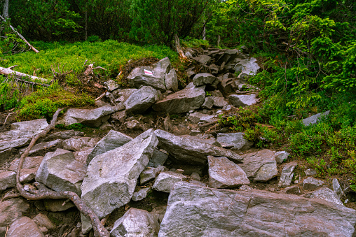collapse of stones on a path in a mountain forest