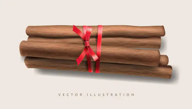 Vector illustration of Cinnamon sticks tied with red ribbon isolated on white, realistic vector illustration
