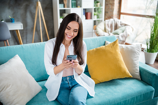 Portrait of gorgeous cheerful girl sitting comfy sofa use smart phone typing write blog post modern interior flat indoors.