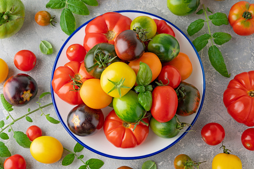 A mix of ripe multi-colored organic tomatoes. Healthy food