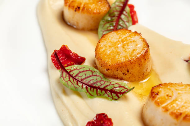 istock Fried sea scallop with mashed potatoes, lettuce and paprika slices on a light ceramic plate. The dishes are on a brown, wooden countertop. 1618494552
