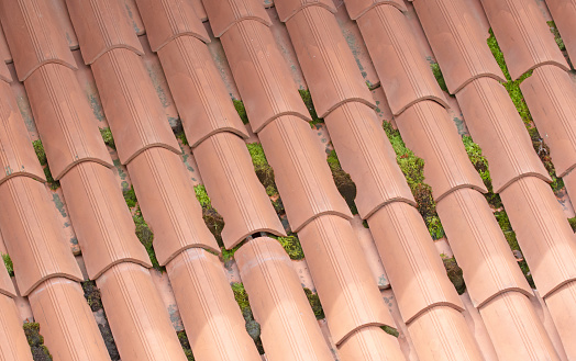 Red rooftiles with plants and moss growing in between them