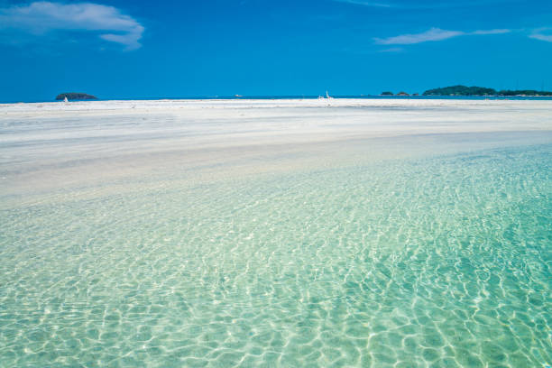 istock Beautiful tropical white sand beach in sunny day. 1618519810