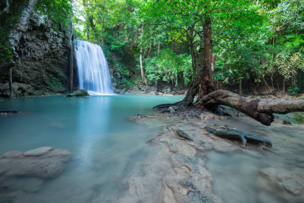 hermosa cascada de selva tropical de erawan en la provincia de kanchanaburi, tailandia. - kanchanaburi province beauty in nature falling flowing fotografías e imágenes de stock