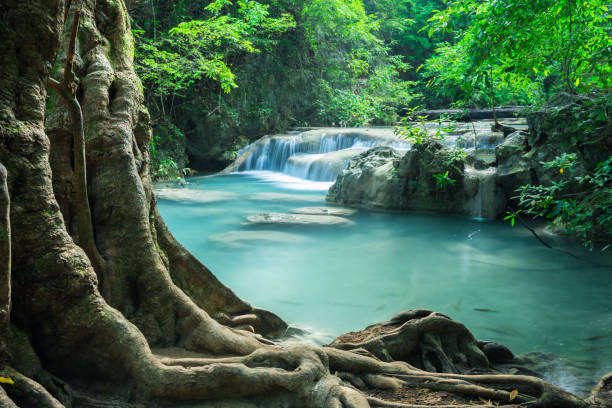 hermosa cascada de selva tropical de erawan en la provincia de kanchanaburi, tailandia. - kanchanaburi province beauty in nature falling flowing fotografías e imágenes de stock