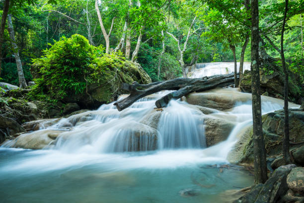 красивый водопад тропического леса эраван в провинции канчанабури, таиланд. - kanchanaburi province beauty in nature falling flowing стоковые фото и изображения