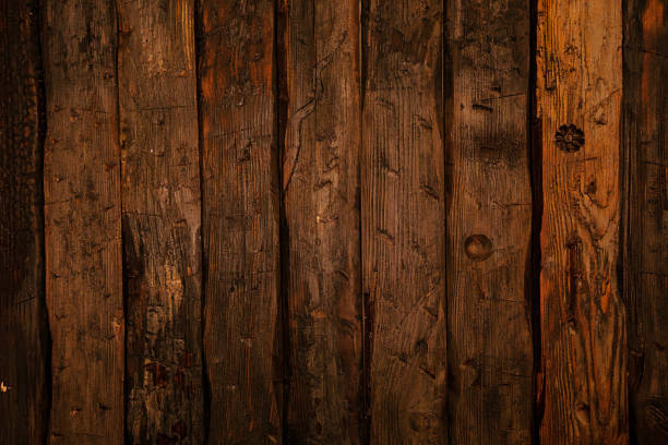 Time's Embrace: Immersed in the Texture of Weathered Wood
