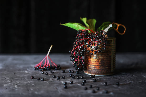 istock Ripe wild black elderberry (sambucus nigra) in a rusty tin on the stone table 1618545102