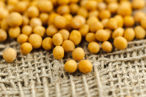 Mustard seeds. Vegan mustard seed concept. Healthy diet, close up