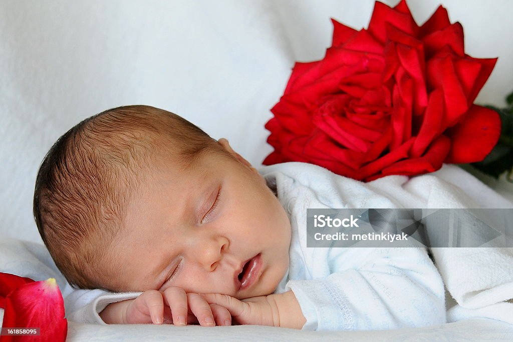 Bebé durmiendo con rosas rojas - Foto de stock de Acostado boca abajo libre de derechos