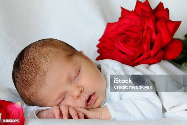 Bebé Durmiendo Con Rosas Rojas Foto de stock y más banco de imágenes de Acostado boca abajo - Acostado boca abajo, Bebé, Blanco - Color