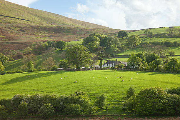istock English countryside. 161858312