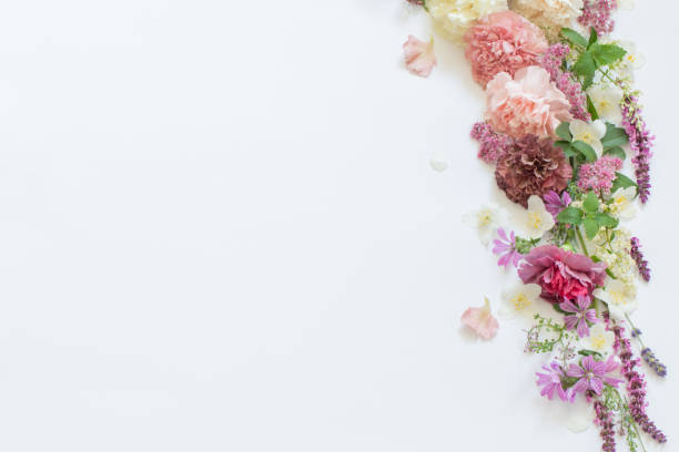 istock beautiful summer flowers on white background 1618594295
