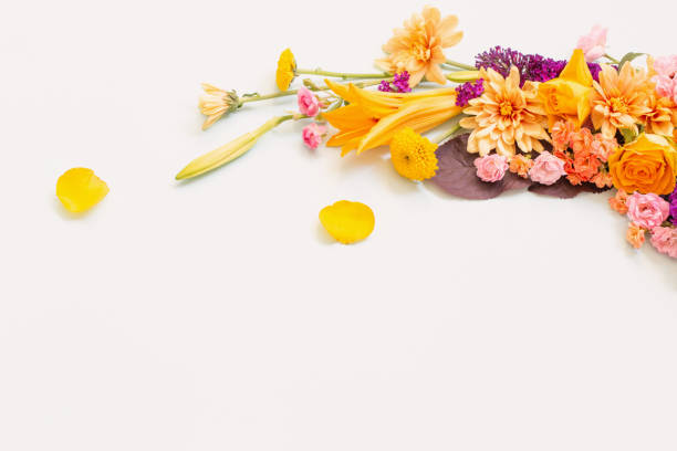 istock beautiful summer flowers on white   background 1618594317