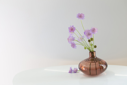 3d illustration of set decorative flower vase inside isolated on white background