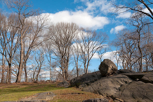 istock Central Park, New York City 161859628