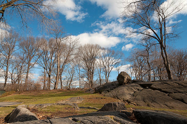 istock Central Park, New York City 161859649