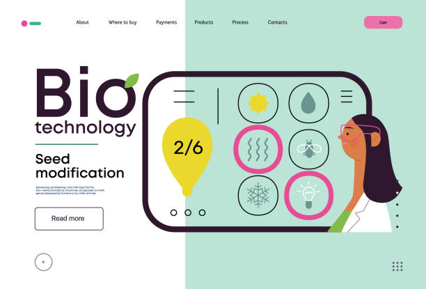 Bio Technology flat vector illustration Bio Technology, Seed Modification -modern flat vector concept illustration of scientists choosing features for a seed, genetic modificated variants. Metaphor of direct impact of GMO on vegetation genetic modification change improvement science stock illustrations