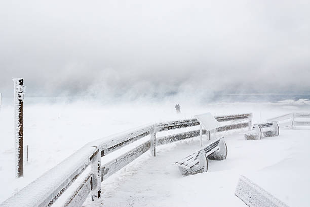 Nieve y viento en invierno tormenta - foto de stock