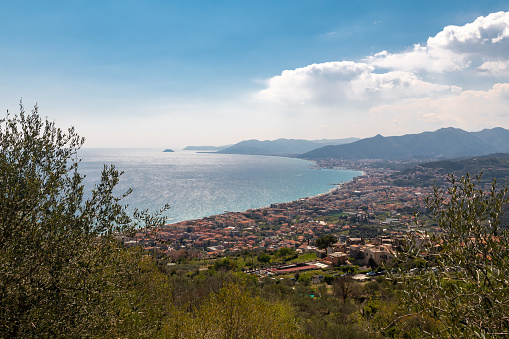 The part of the Riviera di Ponente in the province of Savona, is called the Riviera delle Palme (Palm Riviera).