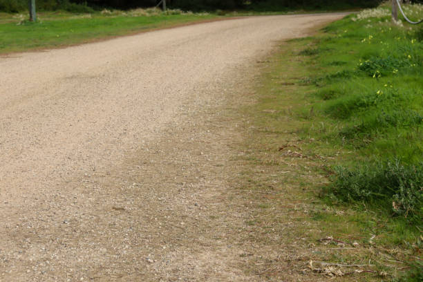 istock dirt road in field 1618628230
