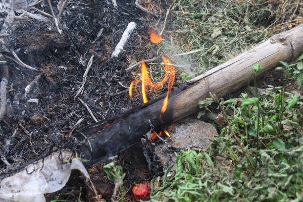 istock Inorganic and organic waste that is burned 1618633761
