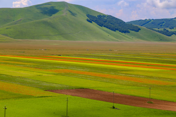 istock Castelluccio, Italy 1618673136
