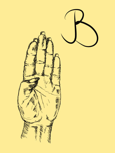 illustrations, cliparts, dessins animés et icônes de signe de la main pour la lettre b des sourds - sign language american sign language human hand deaf