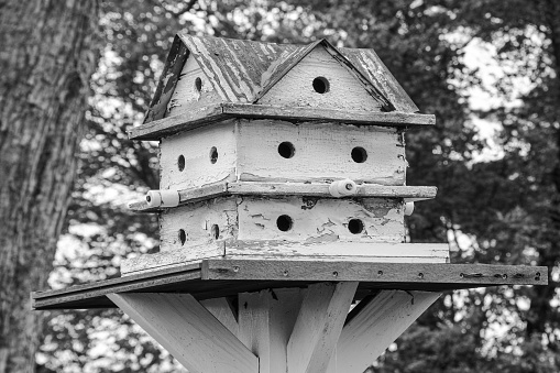 Deluxe bird house in hunterdon county n.j