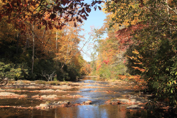 istock Smoky Mountains in fall. River in forest. 1618720471