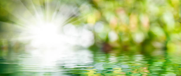 istock bright glow on a green blurred background and reflection in the water 1618752714